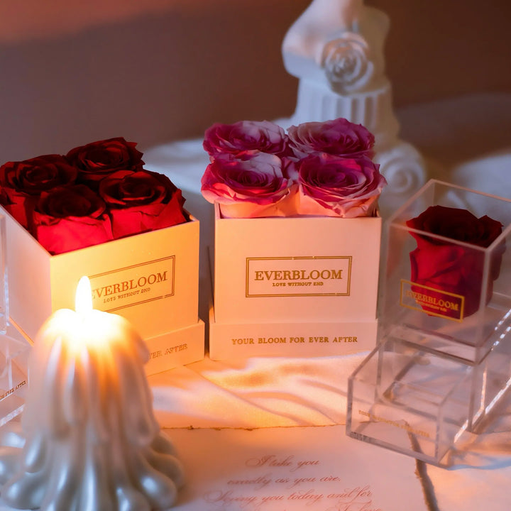 Red and pink preserved rose boxes under candlelight