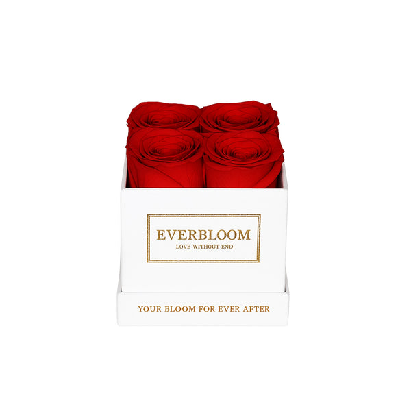 4 everlasting roses in a refined box—romantic gift for Valentine’s Day, birthday or anniversary