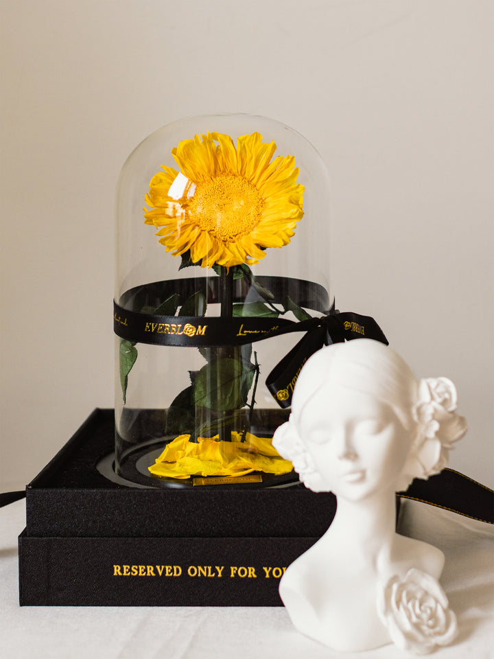 Real yellow sunflower under glass dome, long-lasting floral decor