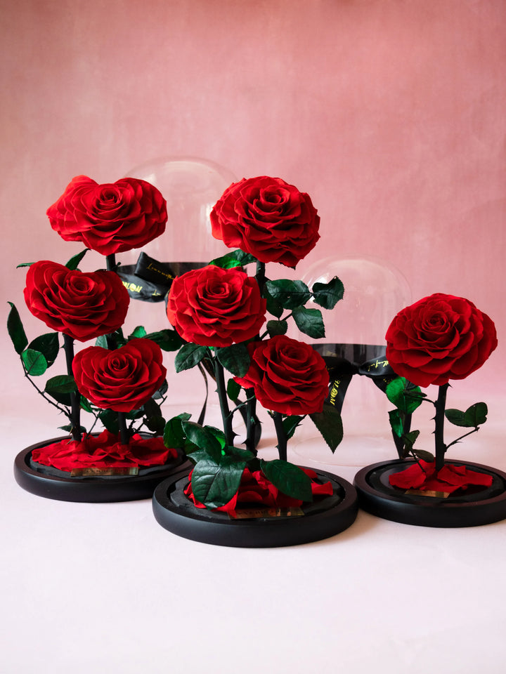 Multiple preserved red rose domes with three roses