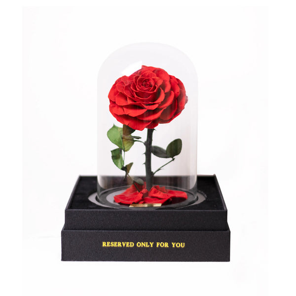 EVERBLOOM | Luxury Everlasting Flowers & Preserved Roses Australia ...