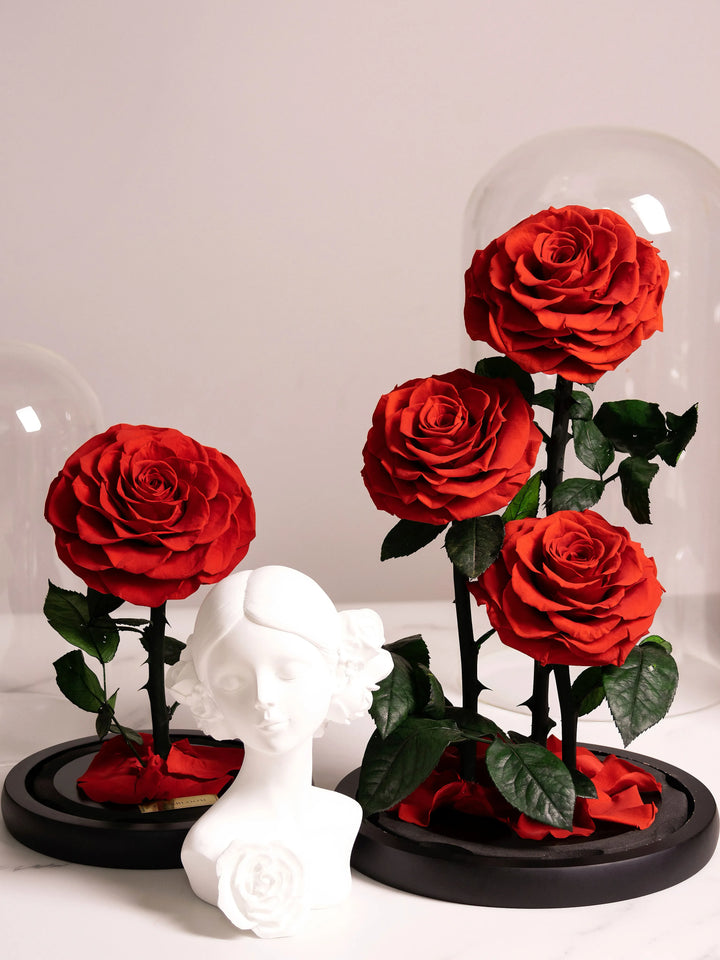 Romantic rose decorations with glass dome lids removed