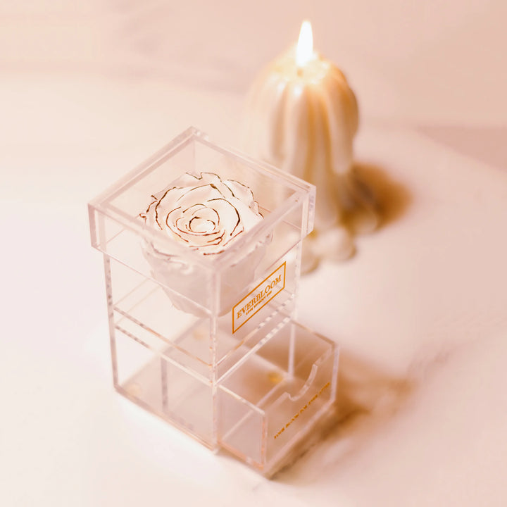 Clear acrylic keepsake box featuring a black-trimmed white preserved rose and pull-out drawer