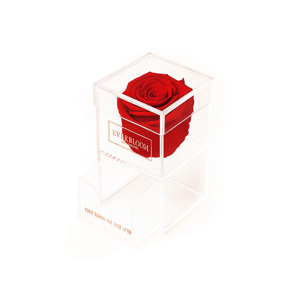 Clear acrylic single rose box with red preserved rose and open drawer