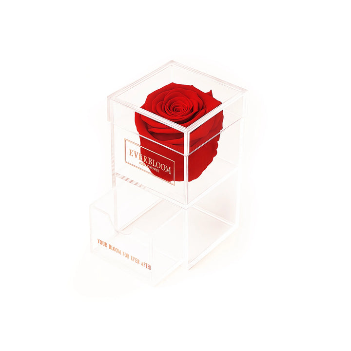 Clear acrylic single rose box with red preserved rose and open drawer