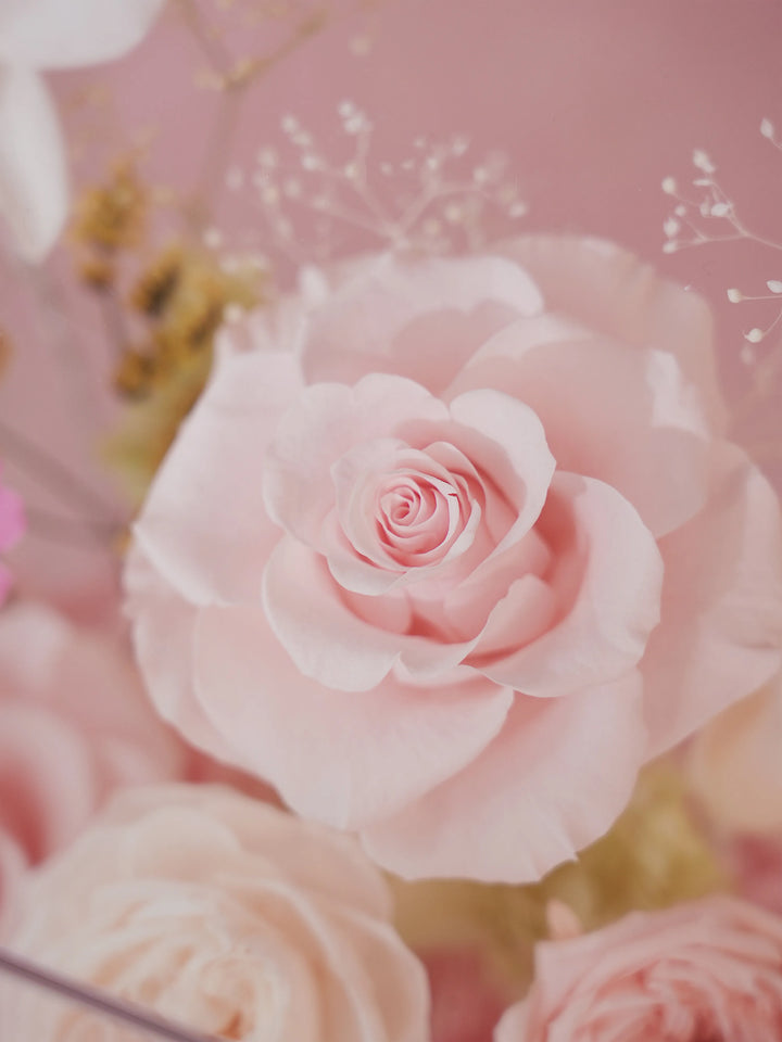 Close-up of preserved flowers in Misty Blossom Pink