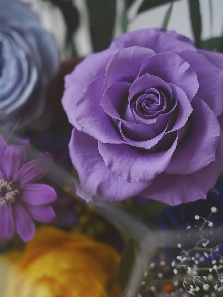 Close-up of a preserved purple rose from the Monet’s Bloom Purple and Yellow octagon flower box
