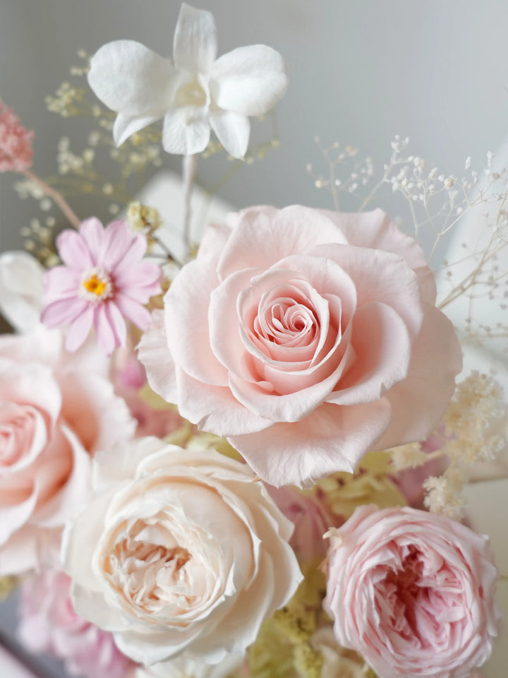 Close-up of preserved flowers in Rosy Whisper Pink