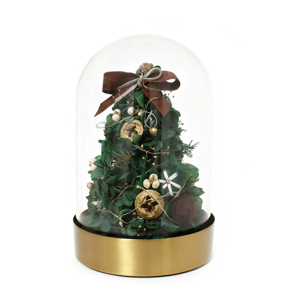 Decorative Christmas tree inside a glass dome with a gold base on a white background
